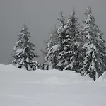 Schraberger - Alpin شقة *