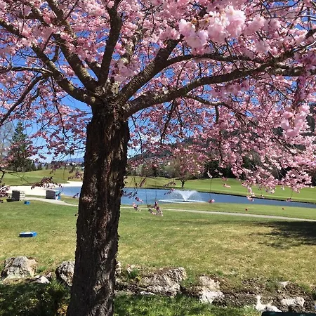 Lägenhet Schraberger - Alpin *