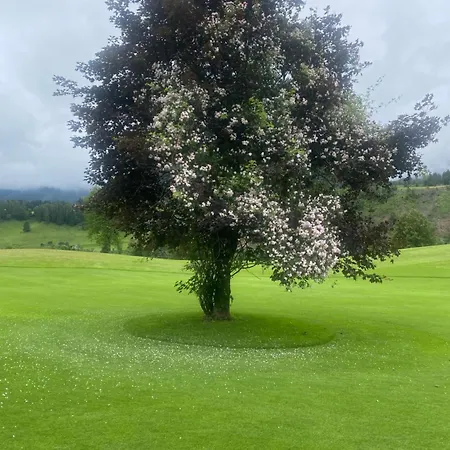 Schraberger - Alpin Lägenhet *