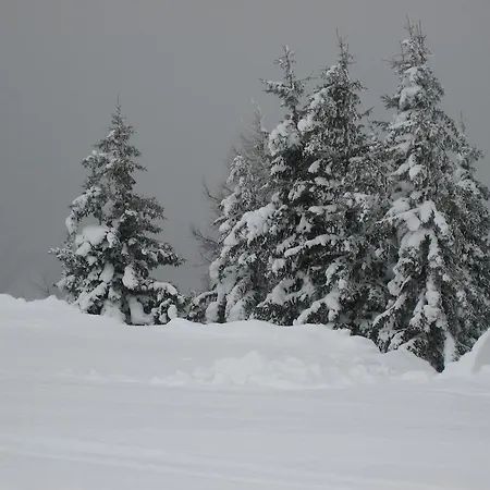 Schraberger - Alpin Lägenhet *
