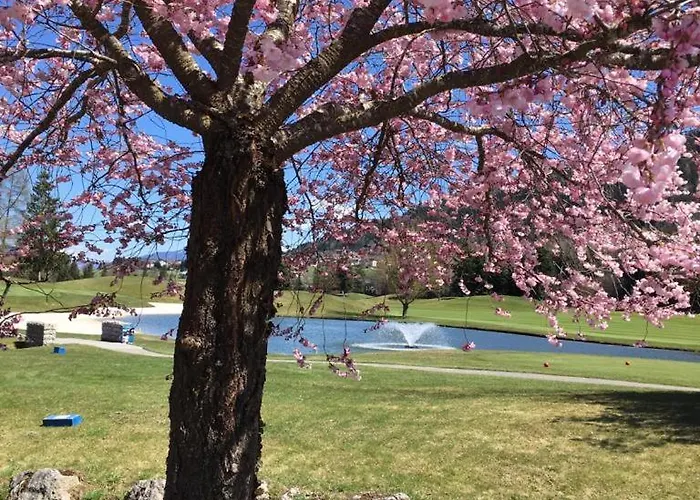 Apartament Schraberger - Alpin *