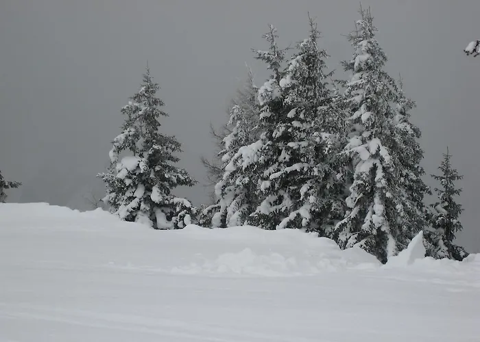 Schraberger - Alpin Apartament *